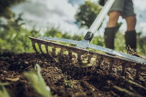 Wiosną najważniejszą pracą w ogrodzie jest przygotowanie gleby